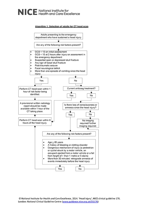 CT Head algorithm